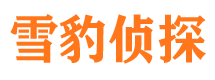 崇川市侦探调查公司